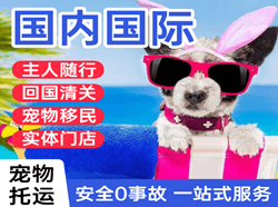 阿克苏红旗坡航空运输国际宠物托运 【国